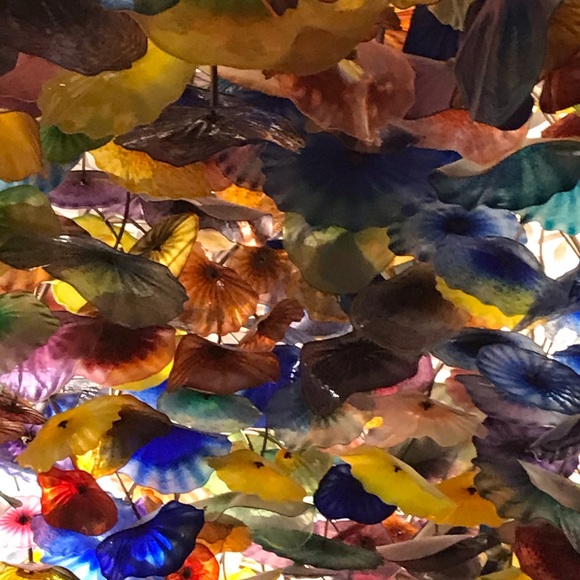 Meet your Posher, Tina marie - Picture 3 of 3